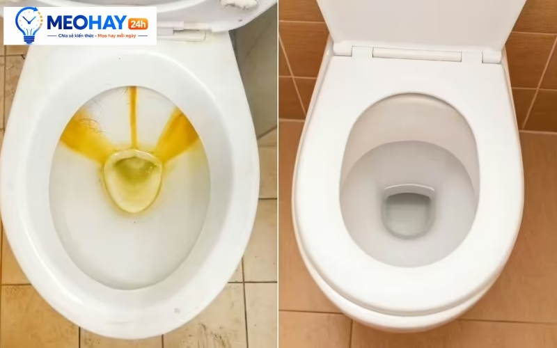 Cách tẩy vết ố vàng trên bồn cầu trước và sau