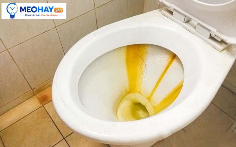 Nguyên nhân bồn cầu bị ố vàng đóng cặn