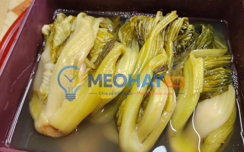 Bí Quyết Và Sai Lầm Cần Tránh Khi Muối Dưa